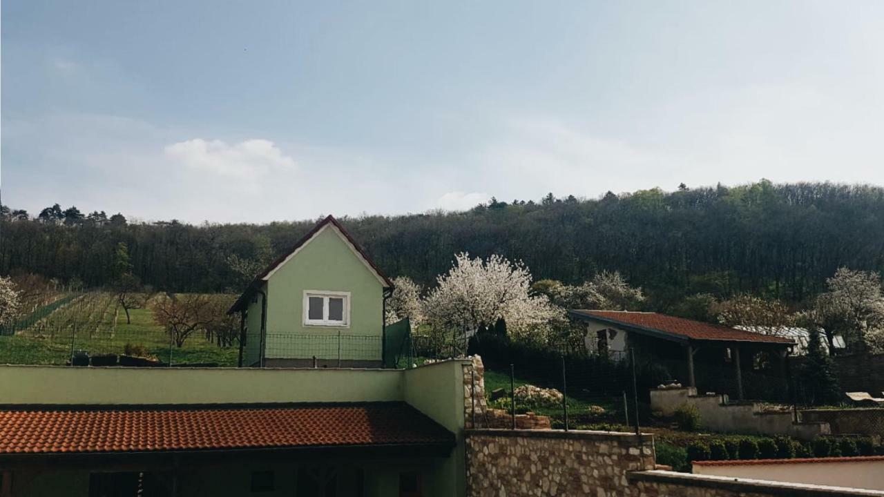Pod Vinici Hotel Mikulov Exterior foto